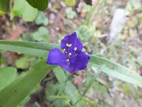 DSCF6230.webp