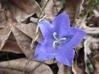 DSCF6246.webp