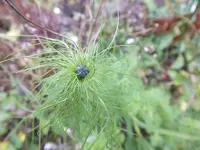 DSCF6260.webp