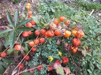 DSCF6258.webp