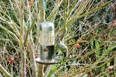 DSCF4549 (2).webp