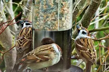 DSCF4560 (2).webp