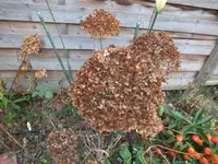 DSCF6259.webp