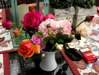 IMG_5926.webp