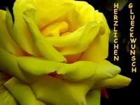 Rose Geb..webp