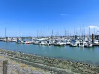 CIMG0482.webp
