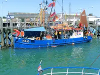 CIMG0481.jpg