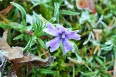 DSCF4595 (2).webp