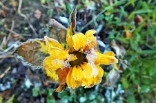DSCF4577 (2).webp