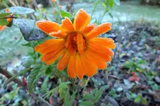 DSCF4582 (2).webp