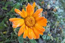 DSCF4584 (2).webp