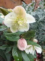 DSCF6340.webp