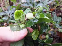 DSCF6385.webp