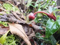 DSCF6389.webp