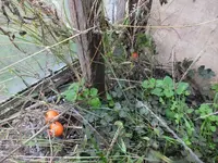 DSCF6400.webp