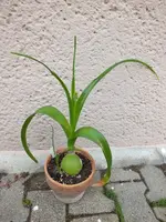 DSCF6314.webp
