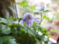 DSCF6419.webp