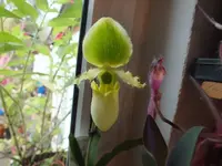 DSCF6406.webp