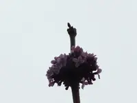 DSCF6321.webp