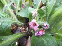 DSCF6370.webp