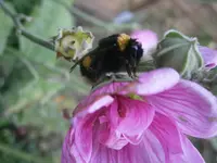 PB210877.webp