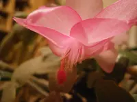 PB210883.webp