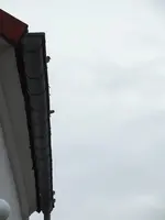 DSCF6377.webp