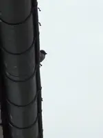 DSCF6378.webp
