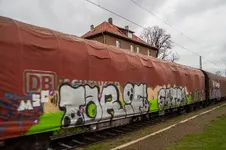 6589.webp