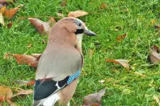 DSCF4614 (2).webp