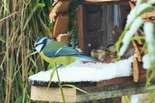 DSCF4632 (2).webp