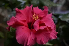 _DSC9542.webp