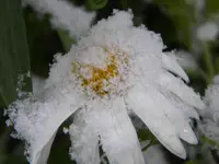 DSCN6711.webp