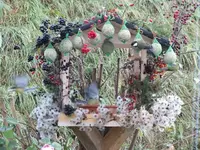 DSCF6438.webp