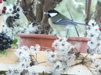 DSCF6466.webp