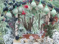 DSCF6447.webp