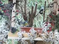 DSCF6467.webp
