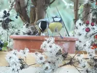 DSCF6503.webp
