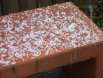 Graupel2 22.11.2015.jpg