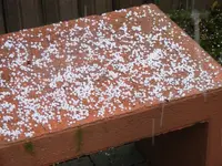 Graupel2 22.11.2015.webp