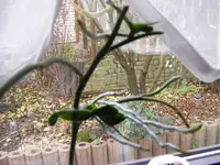 DSCF4318.webp