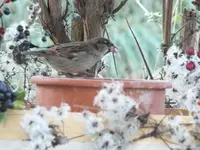 DSCF6508.webp