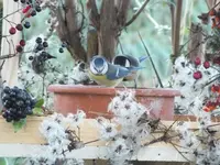 DSCF6502.webp