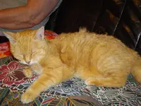 IMGP2818.webp