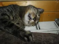 IMGP2817.webp