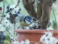 DSCF6468.webp