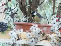 DSCF6470.webp