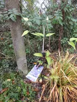 DSCF6360.webp
