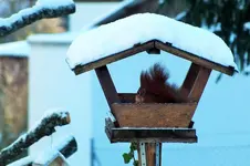 DSCF4662 (2).webp