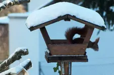 DSCF4675 (2).webp
